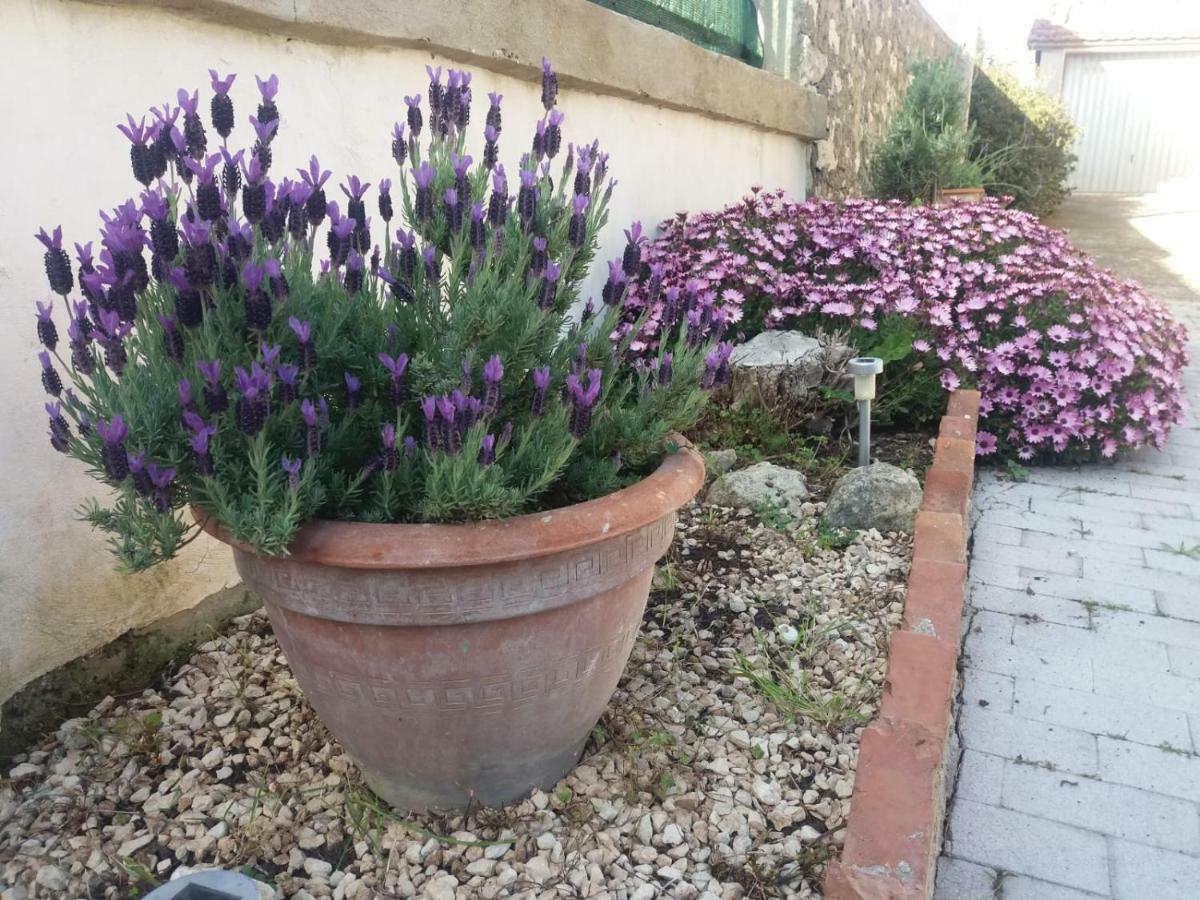 Il Vaso Di Creta Bed & Breakfast รากูซา ภายนอก รูปภาพ